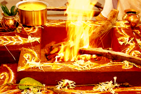 Pandit for Hawan Pujan